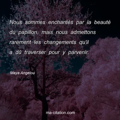 Maya Angelou : Nous sommes enchantés par la beauté du papillon, mais nous admettons rarement les changements qu'il a dû traverser pour y parvenir. 