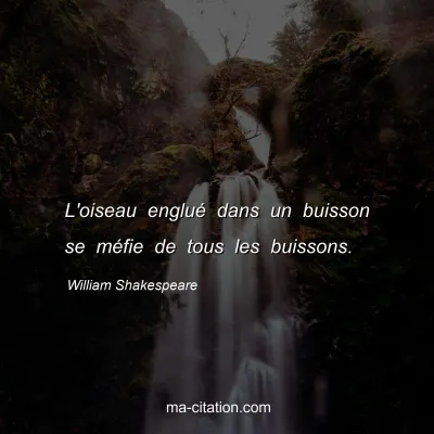 William Shakespeare : L'oiseau engluÃ© dans un buisson se mÃ©fie de tous les buissons.