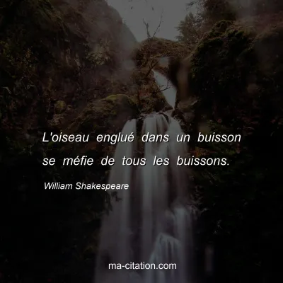 William Shakespeare : L'oiseau englué dans un buisson se méfie de tous les buissons.
