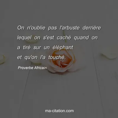 Proverbe Africain : On n'oublie pas l'arbuste derriÃ¨re lequel on s'est cachÃ© quand on a tirÃ© sur un Ã©lÃ©phant et qu'on l'a touchÃ©.