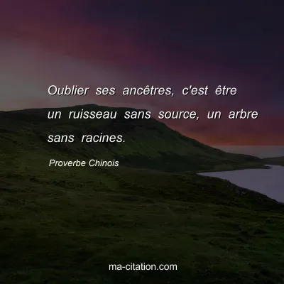 Proverbe Chinois : Oublier ses ancÃªtres, c'est Ãªtre un ruisseau sans source, un arbre sans racines.