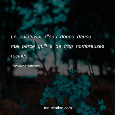 Proverbe Africain : Le palÃ©tuvier d'eau douce danse mal parce qu'il a de trop nombreuses racines.