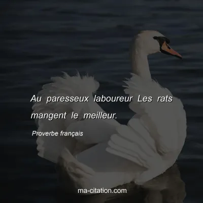 Proverbe franÃ§ais : Au paresseux laboureur Les rats mangent le meilleur.
