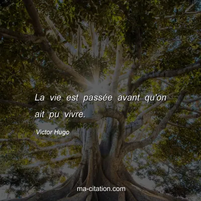 Victor Hugo : La vie est passÃ©e avant qu'on ait pu vivre.