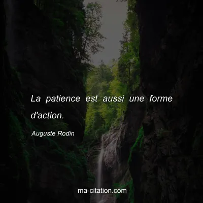 Auguste Rodin : La patience est aussi une forme d'action.