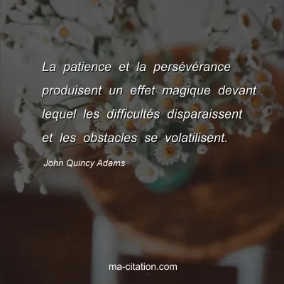 John Quincy Adams : La patience et la persévérance produisent un effet magique devant lequel les difficultés disparaissent et les obstacles se volatilisent.