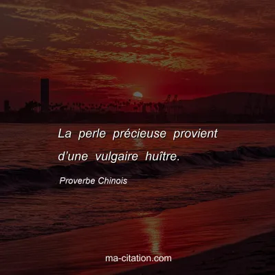 Proverbe Chinois : La perle prÃ©cieuse provient dâ€™une vulgaire huÃ®tre.
