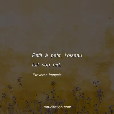 Proverbe franÃ§ais : Petit Ã  petit, lâ€™oiseau fait son nid.