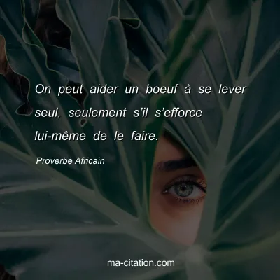 Proverbe Africain : On peut aider un boeuf Ã  se lever seul, seulement sâ€™il sâ€™efforce lui-mÃªme de le faire.