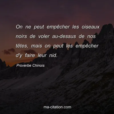 Proverbe Chinois : On ne peut empÃªcher les oiseaux noirs de voler au-dessus de nos tÃªtes, mais on peut les empÃªcher d'y faire leur nid.