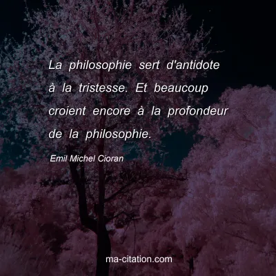 Emil Michel Cioran : La philosophie sert d'antidote à la tristesse. Et beaucoup croient encore à la profondeur de la philosophie.