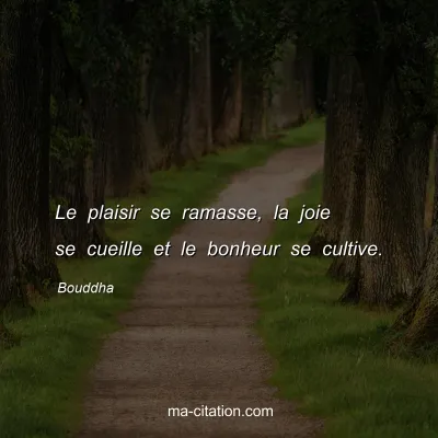 Bouddha : Le plaisir se ramasse, la joie se cueille et le bonheur se cultive.
