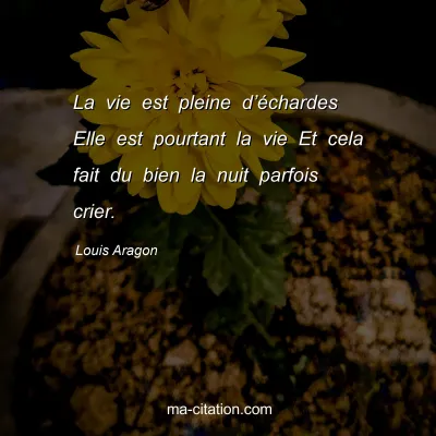 Louis Aragon : La vie est pleine d’échardes Elle est pourtant la vie Et cela fait du bien la nuit parfois crier.