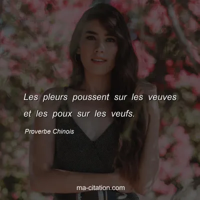 Proverbe Chinois : Les pleurs poussent sur les veuves et les poux sur les veufs.