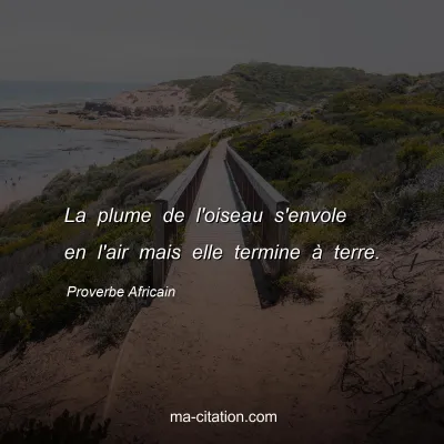 Proverbe Africain : La plume de l'oiseau s'envole en l'air mais elle termine Ã  terre.