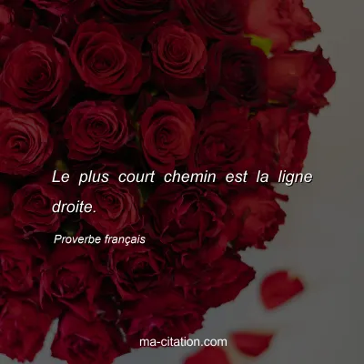 Proverbe franÃ§ais : Le plus court chemin est la ligne droite.