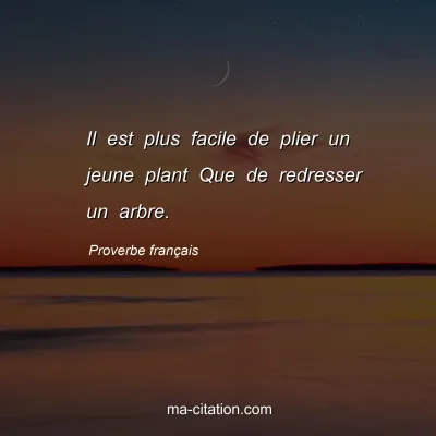 Proverbe franÃ§ais : Il est plus facile de plier un jeune plant Que de redresser un arbre.