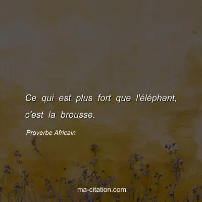 Proverbe Africain : Ce qui est plus fort que l'Ã©lÃ©phant, c'est la brousse.