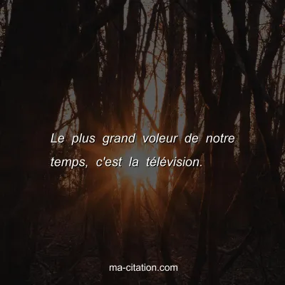 Le plus grand voleur de notre temps, c'est la tÃ©lÃ©vision.