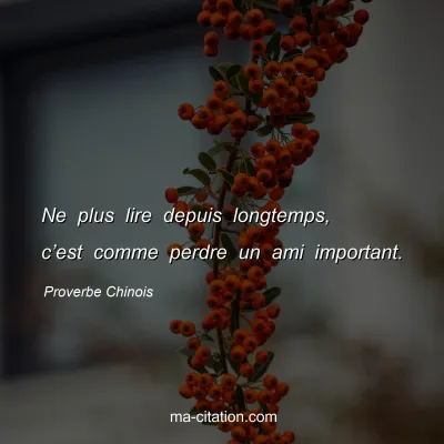 Proverbe Chinois : Ne plus lire depuis longtemps, câ€™est comme perdre un ami important.