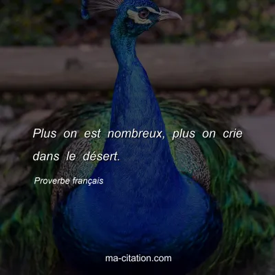 Proverbe franÃ§ais : Plus on est nombreux, plus on crie dans le dÃ©sert.