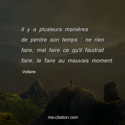 Voltaire : Il y a plusieurs manières de perdre son temps : ne rien faire, mal faire ce qu'il faudrait faire, le faire au mauvais moment.
