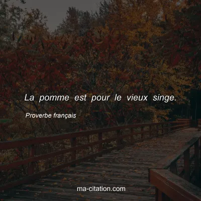 Proverbe franÃ§ais : La pomme est pour le vieux singe.