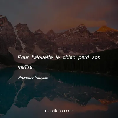 Proverbe franÃ§ais : Pour l'alouette le chien perd son maÃ®tre.