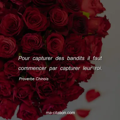 Proverbe Chinois : Pour capturer des bandits il faut commencer par capturer leur roi.
