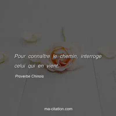 Proverbe Chinois : Pour connaÃ®tre le chemin, interroge celui qui en vient.