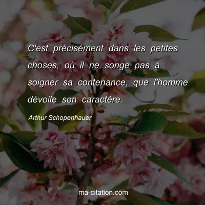 Arthur Schopenhauer : C'est prÃ©cisÃ©ment dans les petites choses, oÃ¹ il ne songe pas Ã  soigner sa contenance, que l'homme dÃ©voile son caractÃ¨re.