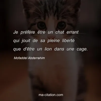 Mofaddel Abderrahim : Je préfère être un chat errant qui jouit de sa pleine liberté que d'être un lion dans une cage.