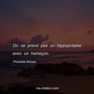 Proverbe Africain : On ne prend pas un hippopotame avec un hameÃ§on.