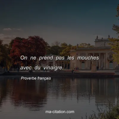 Proverbe franÃ§ais : On ne prend pas les mouches avec du vinaigre.