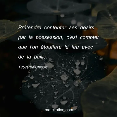 Proverbe Chinois : PrÃ©tendre contenter ses dÃ©sirs par la possession, c'est compter que l'on Ã©touffera le feu avec de la paille.