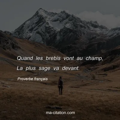 Proverbe franÃ§ais : Quand les brebis vont au champ, La plus sage va devant.