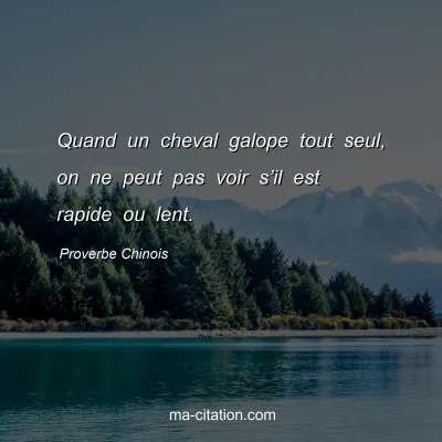 Proverbe Chinois : Quand un cheval galope tout seul, on ne peut pas voir sâ€™il est rapide ou lent.