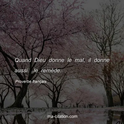 Proverbe franÃ§ais : Quand Dieu donne le mal, il donne aussi  le remÃ¨de.
