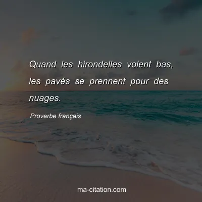 Proverbe franÃ§ais : Quand les hirondelles volent bas, les pavÃ©s se prennent pour des nuages.