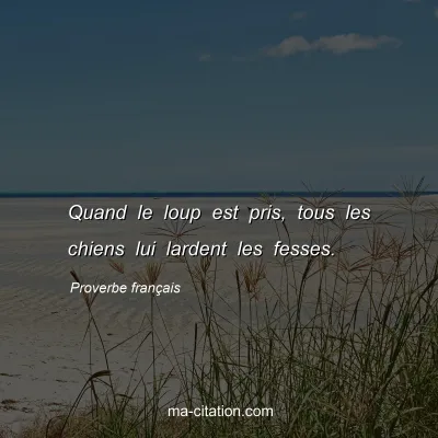 Proverbe franÃ§ais : Quand le loup est pris, tous les chiens lui lardent les fesses.