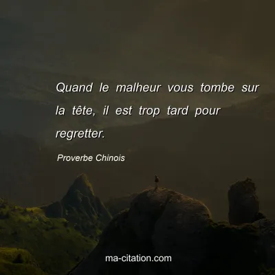 Proverbe Chinois : Quand le malheur vous tombe sur la tÃªte, il est trop tard pour regretter.