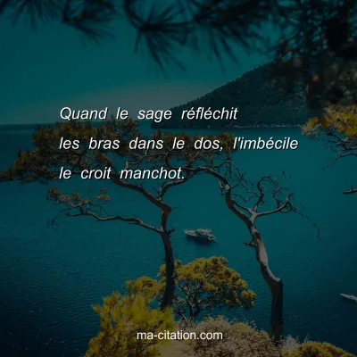 Quand le sage rÃ©flÃ©chit les bras dans le dos, l'imbÃ©cile le croit manchot.