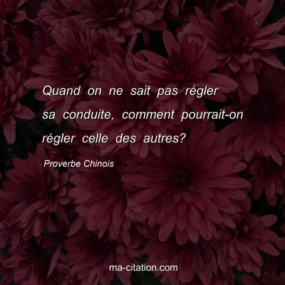 Proverbe Chinois : Quand on ne sait pas rÃ©gler sa conduite, comment pourrait-on rÃ©gler celle des autres?