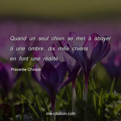 Proverbe Chinois : Quand un seul chien se met Ã  aboyer Ã  une ombre, dix mille chiens en font une rÃ©alitÃ©.