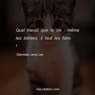 Stanislaw Jerzy Lec : Quel travail que la vie : mÃªme les bÃªtises, il faut les faire !