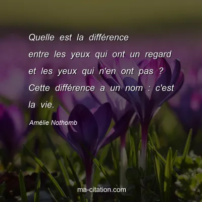 Amélie Nothomb : Quelle est la différence entre les yeux qui ont un regard et les yeux qui n'en ont pas ? Cette différence a un nom : c'est la vie.