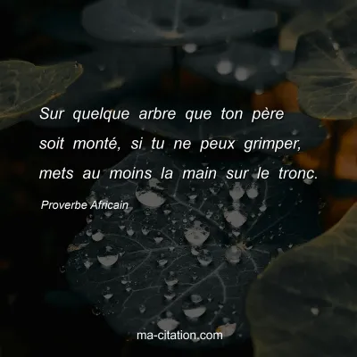 Proverbe Africain : Sur quelque arbre que ton pÃ¨re soit montÃ©, si tu ne peux grimper, mets au moins la main sur le tronc.