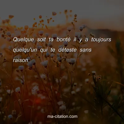 Quelque soit ta bontÃ© il y a toujours quelqu'un qui te dÃ©teste sans raison.