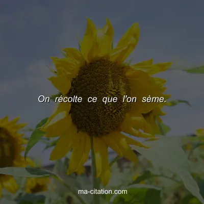 On rÃ©colte ce que l'on sÃ¨me.