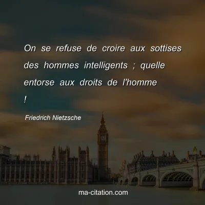 Friedrich Nietzsche : On se refuse de croire aux sottises des hommes intelligents ; quelle entorse aux droits de l'homme !